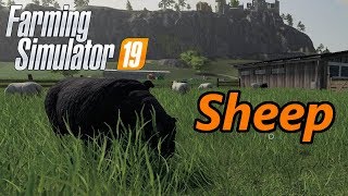 Farming Simulator 19 Tutorial  Sheep [upl. by Einama97]