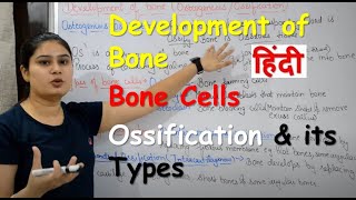 Development of Bone in Hindi  Bone Cells  Ossification amp its Types [upl. by Audwen]