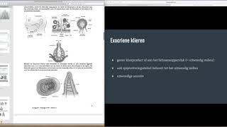 Thema 7  Exocriene en endocriene klieren [upl. by Barbe626]