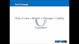 Introduction to Tort Law [upl. by Nonnairb]