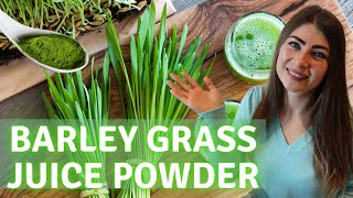 Barley Juice Benefits amp Barley Grass Juice Powder Review The Best Green Juice Powder [upl. by Euqinahc]