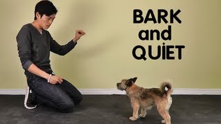 Teach Dog to Stop Barking  Bark and Quiet on Cue [upl. by Ardnuhsal]