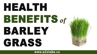 Health Benefits of Barley Grass [upl. by Dulcia]