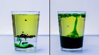 EASY SCIENCE EXPERIMENTS THAT WILL AMAZE KIDS [upl. by Sikram687]