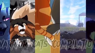 Warrior cats TikTok compilation 1 [upl. by Gneh201]