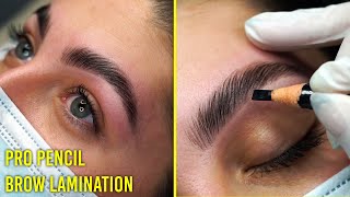 Follow along Brow Lamination tutorial for all eyebrow types Pro Pencil [upl. by Manaker]