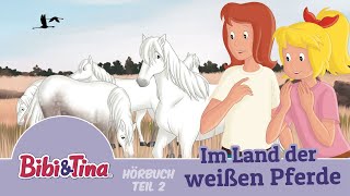 Bibi amp Tina  Im Land der weißen Pferde  1 Stunde Entspannung Teil 2 [upl. by Teddi928]