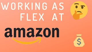 Amazon Seasonal Job  Flex Warehouse Associate [upl. by Dich]