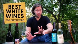 The Best White Wines For Beginners Series 2 Pinot Grigio [upl. by Vick993]