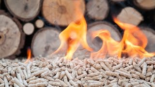 Breaking down biomass part one  Sustainable Energy [upl. by Vernita]