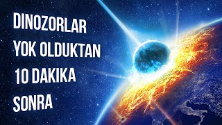 Dinozorların Nesli Tükendikten 10 Dakika Sonra Neler Olduğunu İzleyin [upl. by Saidnac]