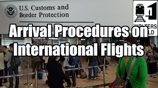 What is the Arrival Procedure on an International Flight [upl. by Ridgley]