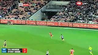 Adam Goodes calls out racist spectator [upl. by Aisatan]