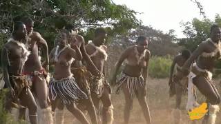 ZuidAfrika Zulu Dans Hluhluwe 13 [upl. by Eboj]