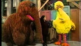 Sesame Street  Big Bird Wants a New Name Part 1 [upl. by Aihsa]