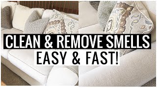 How to CLEAN COUCH and REMOVE ODORS Dog Pet Smoke CHEAP amp SO EASY   Andrea Jean Cleaning [upl. by Aliuqa52]