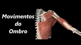 Movimentos do Ombro em 3D [upl. by Nosrak546]