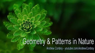 Patterns in Nature  Symmetry Fractals amp Geometry [upl. by Devinna50]