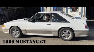 1989 Mustang GT Flowmaster knock off mufflers [upl. by Godwin900]