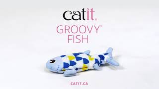 Catit  Groovy Fish [upl. by Anipsed709]