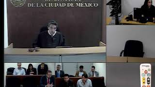 Audiencia de juicio oral mercantil [upl. by Hartman]