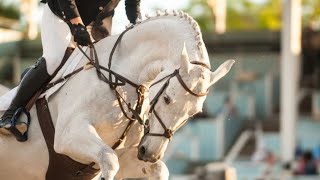 Horse Jumping Video  Symphony [upl. by Stephens]