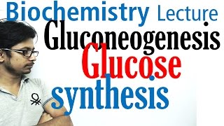 Gluconeogenesis pathway biochemistry [upl. by Assilram]