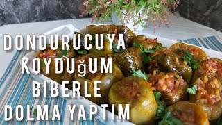 DONDURUCUYA KOYDUĞUM BİBERLE DOLMA YAPTIM Etli Biber Dolması Tarifi [upl. by Ettecul]