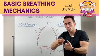 Basic Breathing Mechanics [upl. by Hitoshi]