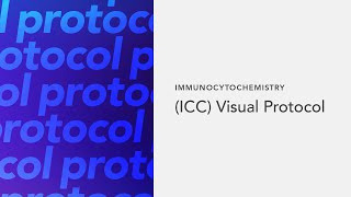 Immunocytochemistry ICC Visual Protocol [upl. by Elletnuahs]