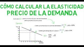 Cómo calcular la elasticidad  Cap 7  Microeconomía [upl. by Tiernan]