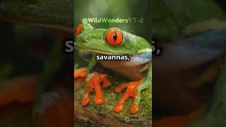 Wildlife Wonders New Discoveries Unveiled [upl. by Danny]