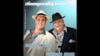 Wiener Schmankerln der Heurigenmusik [upl. by Elok]