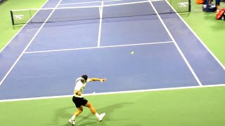 Tallon Griekspoor HUGE Forehand Slow Motion [upl. by Kinom4]