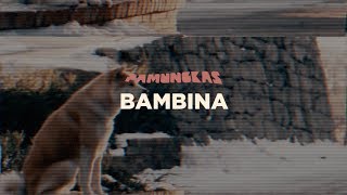 Pamungkas  Bambina Lyrics Video [upl. by Gnart]