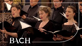 Bach  Motet Singet dem Herrn ein neues Lied BWV 225  MacLeod  Netherlands Bach Society [upl. by Eilatam14]