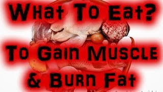 What To Eat To Gain Muscle Burn Fat and Build Lean Muscle Mass Full HD [upl. by Granny]