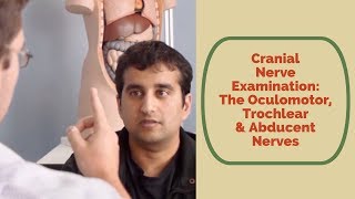 Cranial Nerve Examination CN 3 4 amp 6 oculomotor trochlear abducent [upl. by Garlinda295]