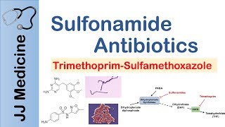 How and When to use Augmentin Amoxicillin with Clavulanic acid  Doctor Explains [upl. by Gurias]