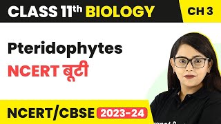 Pteridophytes  NCERT बूटी  Plant Kingdom  Class 11 Biology Chapter 3  NCERTCBSE [upl. by Lled748]