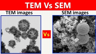 SEM Vs TEM [upl. by Ilyssa]