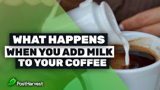 What Happens When You Add Milk to Your Coffee [upl. by Atnoved]