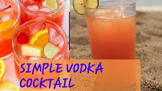 Simple Vodka Punch  Adult cocktails [upl. by Eekorehc]