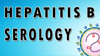 Hepatitis B Serology [upl. by Yzmar]