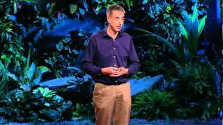 Daniel Wolpert The real reason for brains [upl. by Aisayt]