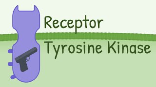 Receptor Tyrosine Kinase  MAPK Pathway [upl. by Markus]