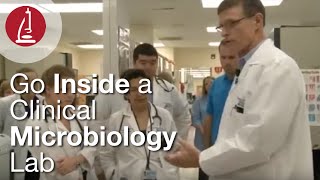 Go Inside a Clinical Microbiology Lab [upl. by Eivol408]