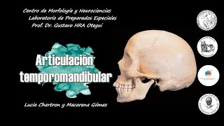 Articulación Temporomandibular [upl. by Rriocard]