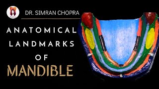 Anatomical Landmarks Of Mandible l Mandibular Landmarks l Prosthodontics [upl. by Annaiuq]