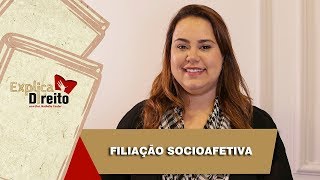 Explica Direito Filiação Socioafetiva  2019 [upl. by Yuht]